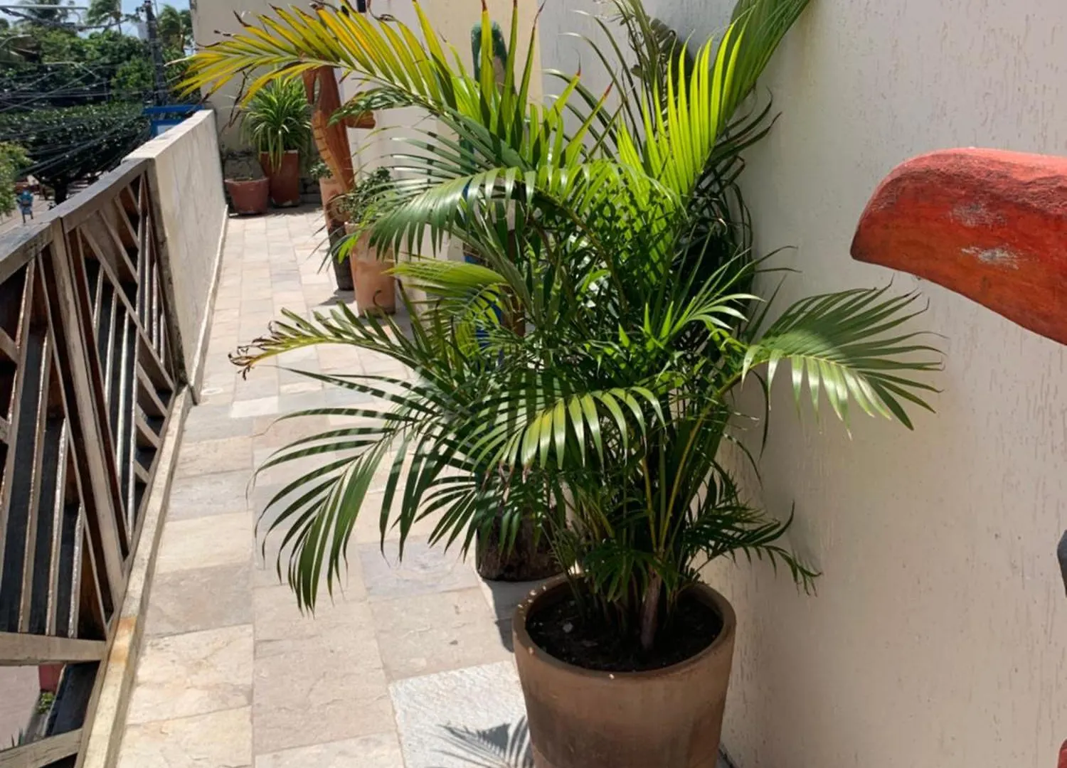 Villa Peixe Na Telha Pôrto das Galinhas